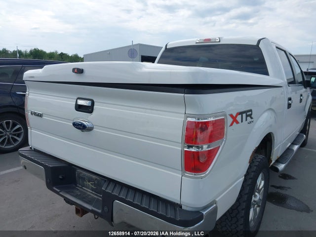 12658914 :رقم المزاد ، 1FTFW1ET6DKE31342 vin ، 2013 Ford F150 Supercrew مزاد بيع