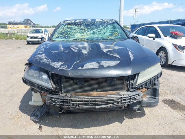 12658934 :رقم المزاد ، 1HGCT2B88DA800761 vin ، 2013 Honda Accord Exl مزاد بيع