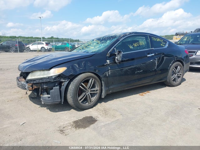 12658934 :رقم المزاد ، 1HGCT2B88DA800761 vin ، 2013 Honda Accord Exl مزاد بيع