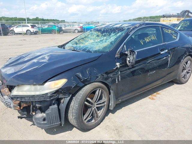 12658934 :رقم المزاد ، 1HGCT2B88DA800761 vin ، 2013 Honda Accord Exl مزاد بيع