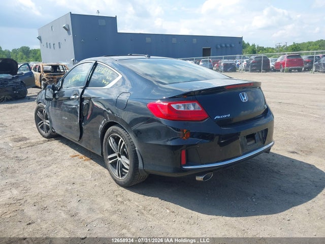 12658934 :رقم المزاد ، 1HGCT2B88DA800761 vin ، 2013 Honda Accord Exl مزاد بيع