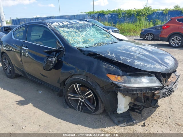 12658934 :رقم المزاد ، 1HGCT2B88DA800761 vin ، 2013 Honda Accord Exl مزاد بيع