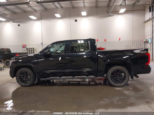 Aukcja sprzedaży 2024 Toyota Tundra Crewmax Sr/crewmax Sr5, vin: 5TFLA5DB7RX206956, numer aukcji: 12658967