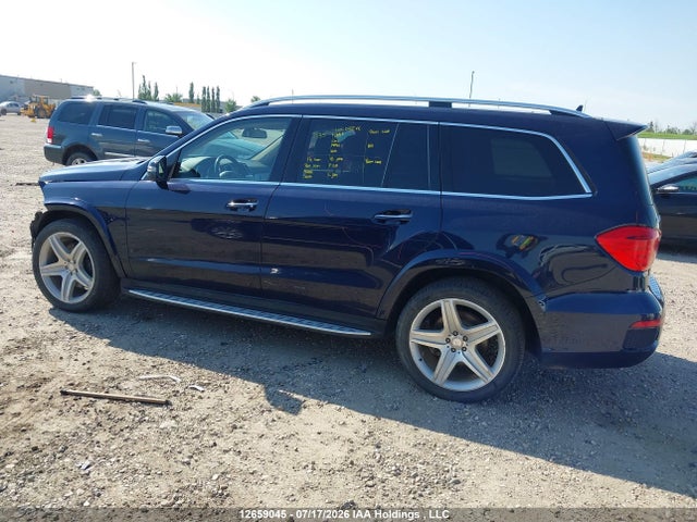 Mercedes-Benz Gl 350 Bluetec 4matic 2014 4JGDF2EE9EA428470 Image 14