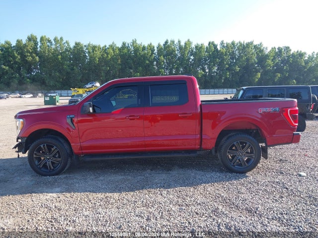 12659081 :رقم المزاد ، 1FTFW1E80MKE10160 vin ، 2021 Ford F150 Supercrew مزاد بيع