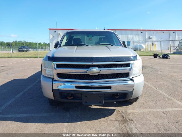 2009 Chevrolet Silverado K1500 მანქანა იყიდება აუქციონზე, vin: 1GCEK19C89Z169730, აუქციონის ნომერი: 12659169