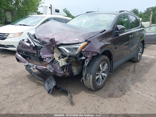 2T3WFREVXHW363169 Toyota Rav4 Xle