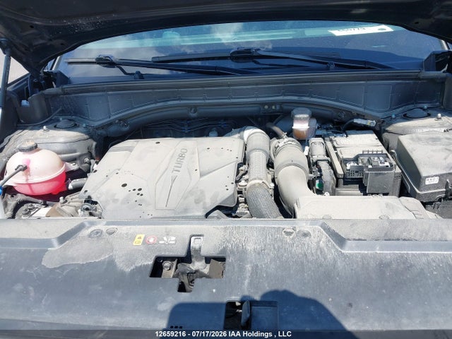 12659216 :رقم المزاد ، 5NMP5DGL4RH009143 vin ، 2024 Hyundai Santa Fe Ultimate Calligraphy مزاد بيع