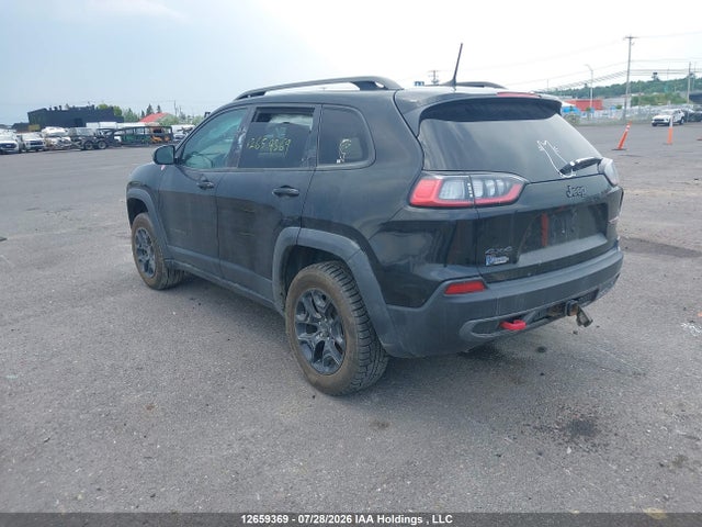 Jeep Cherokee Trailhawk 2019 1C4PJMBX9KD152948 Image 3