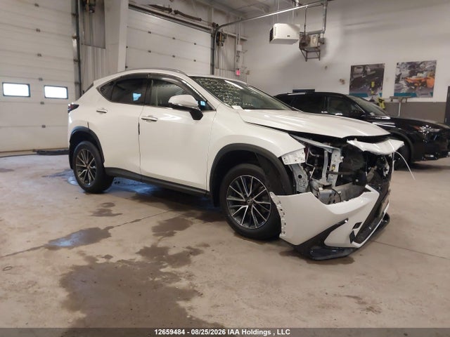 Lexus Nx 350h 350h 2023 2T2AKCEZ4PC011392 main image