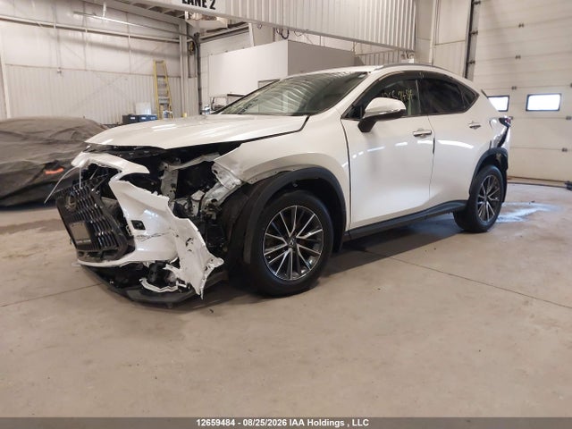Lexus Nx 350h 350h 2023 2T2AKCEZ4PC011392 Image 2