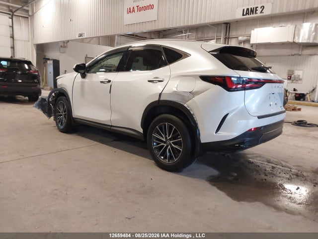 Lexus Nx 350h 350h 2023 2T2AKCEZ4PC011392 Image 3
