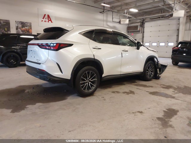 Lexus Nx 350h 350h 2023 2T2AKCEZ4PC011392 Image 4