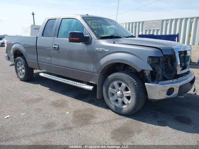 Auction sale of the 2013 Ford F-150 Xlt, vin: 1FTEX1EM2DFA70248, lot number: 12659533