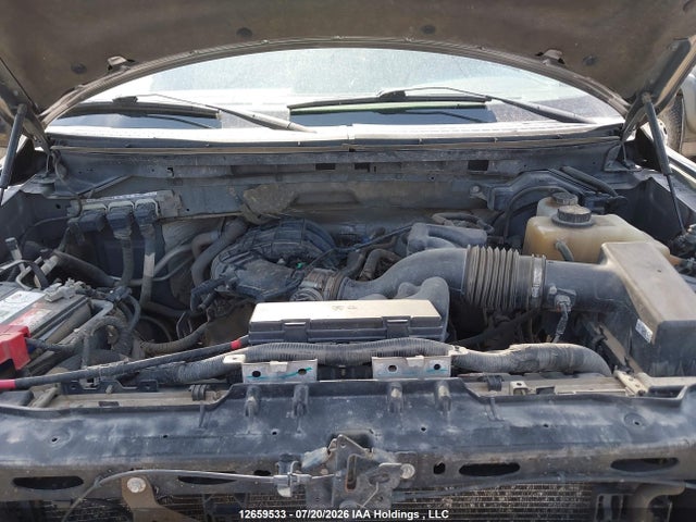 12659533 :رقم المزاد ، 1FTEX1EM2DFA70248 vin ، 2013 Ford F-150 Xlt مزاد بيع