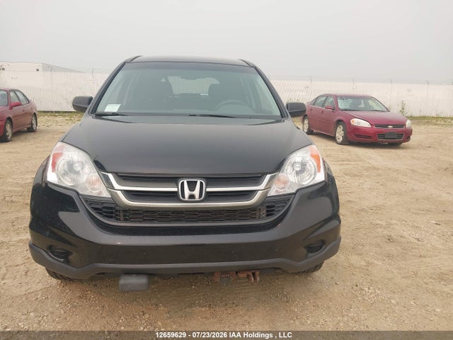 Aukcja sprzedaży 2010 Honda Cr-v Lx, vin: 5J6RE4H35AL816761, numer aukcji: 12659629