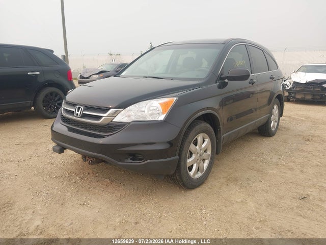 Aukcja sprzedaży 2010 Honda Cr-v Lx, vin: 5J6RE4H35AL816761, numer aukcji: 12659629
