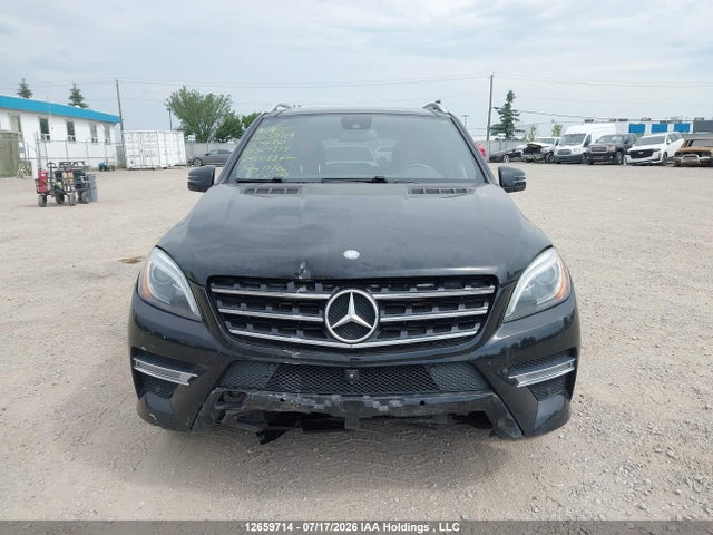 Mercedes-Benz Ml 350 Bluetec 2015 4JGDA2EB5FA529379 Image 12