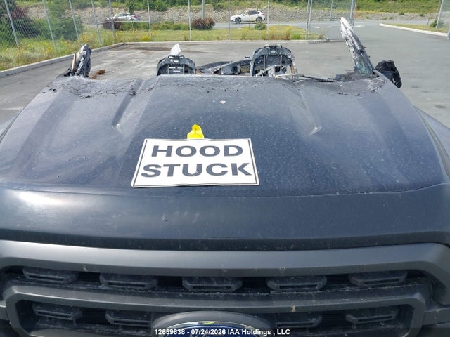 Ford F-150 Xlt 2021 1FTFW1E51MFA86537 Image 10