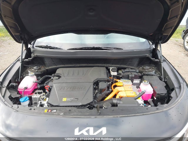 12660014 :رقم المزاد ، KNDCR3LE4T5318318 vin ، 2026 Kia Niro Hev Ex/ex Premium مزاد بيع