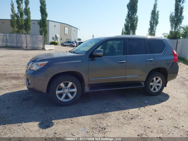 Продажа на аукционе авто 2010 Lexus Gx Premium, vin: JTJJM7FX9A5005821, номер лота: 12660077