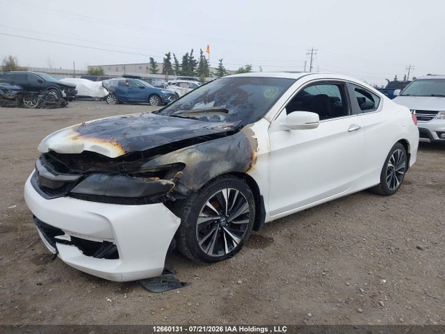 1HGCT1B75GA800366 Honda ACCORD EX