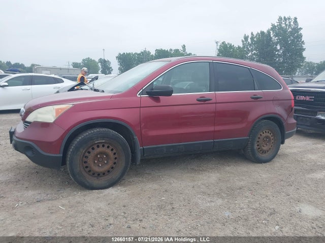 2007 Honda Cr-v Ex მანქანა იყიდება აუქციონზე, vin: 5J6RE48587L815212, აუქციონის ნომერი: 12660157