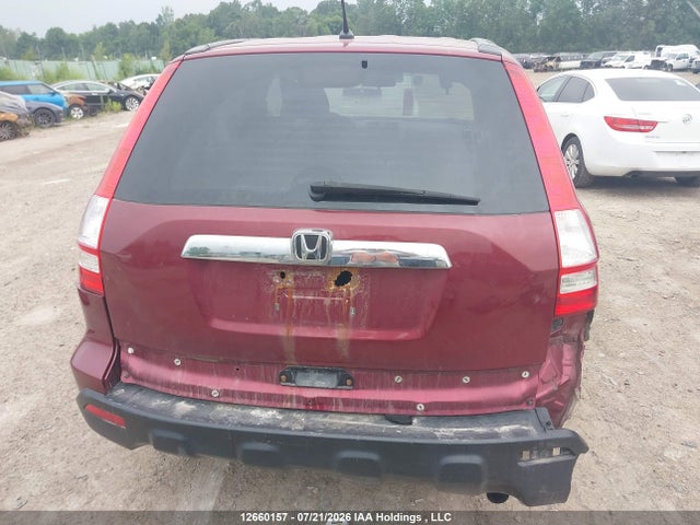 2007 Honda Cr-v Ex მანქანა იყიდება აუქციონზე, vin: 5J6RE48587L815212, აუქციონის ნომერი: 12660157