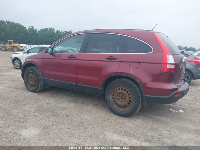 2007 Honda Cr-v Ex მანქანა იყიდება აუქციონზე, vin: 5J6RE48587L815212, აუქციონის ნომერი: 12660157