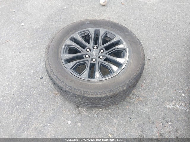 2024 Ford F-150 Xlt მანქანა იყიდება აუქციონზე, vin: 1FTFW3L8XRFB69044, აუქციონის ნომერი: 12660389