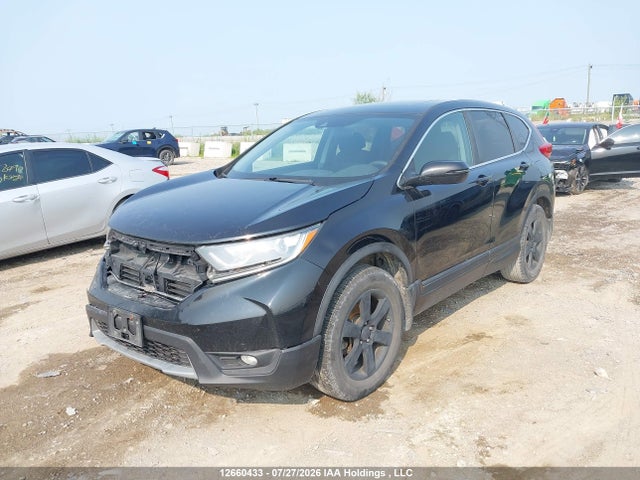 2019 Honda Cr-v Ex მანქანა იყიდება აუქციონზე, vin: 2HKRW2H57KH104203, აუქციონის ნომერი: 12660433