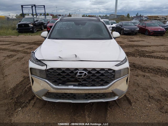 Продажа на аукционе авто 2023 Hyundai Santa Fe Ultimate Calligraphy, vin: 5NMS5DALXPH632332, номер лота: 12660502