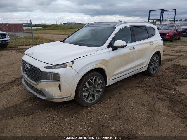 Продажа на аукционе авто 2023 Hyundai Santa Fe Ultimate Calligraphy, vin: 5NMS5DALXPH632332, номер лота: 12660502