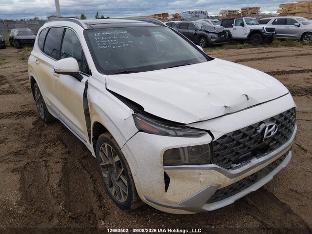 Продажа на аукционе авто 2023 Hyundai Santa Fe Ultimate Calligraphy, vin: 5NMS5DALXPH632332, номер лота: 12660502