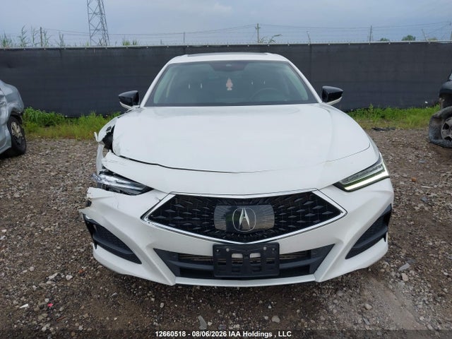Продаж на аукціоні авто 2021 Acura Tlx Technology, vin: 19UUB6F44MA802030, номер лоту: 12660518