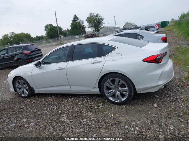 Продаж на аукціоні авто 2021 Acura Tlx Technology, vin: 19UUB6F44MA802030, номер лоту: 12660518