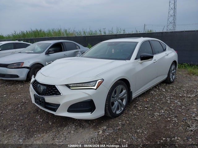 Продаж на аукціоні авто 2021 Acura Tlx Technology, vin: 19UUB6F44MA802030, номер лоту: 12660518