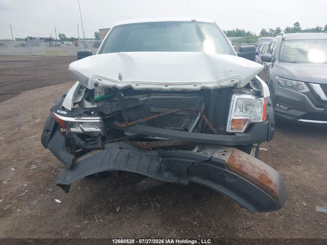 Продаж на аукціоні авто 2011 Ford F-150, vin: 1FTMF1CM8BKE11285, номер лоту: 12660528