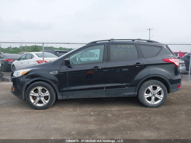 Продаж на аукціоні авто 2014 Ford Escape S, vin: 1FMCU0F74EUE42927, номер лоту: 12660670
