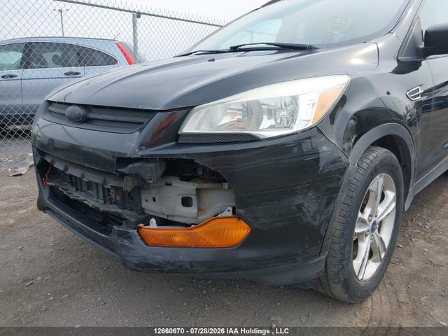 Продаж на аукціоні авто 2014 Ford Escape S, vin: 1FMCU0F74EUE42927, номер лоту: 12660670