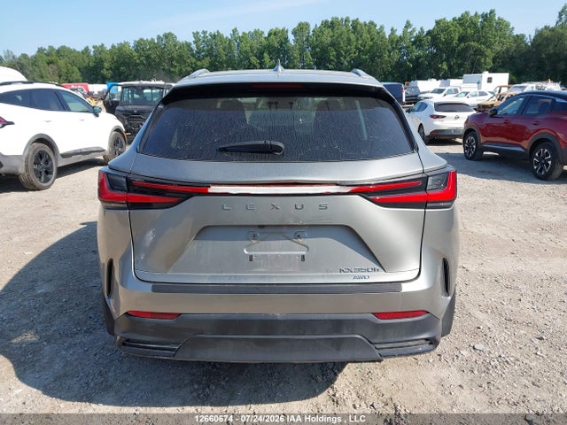 Продаж на аукціоні авто 2024 Lexus Nx 350h 350h, vin: 2T2GKCEZ6RC016560, номер лоту: 12660674