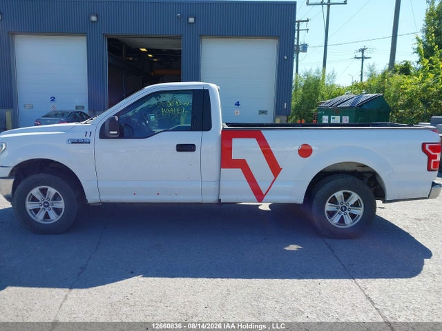 2019 Ford F-150 მანქანა იყიდება აუქციონზე, vin: 1FTMF1C57KKE71504, აუქციონის ნომერი: 12660836
