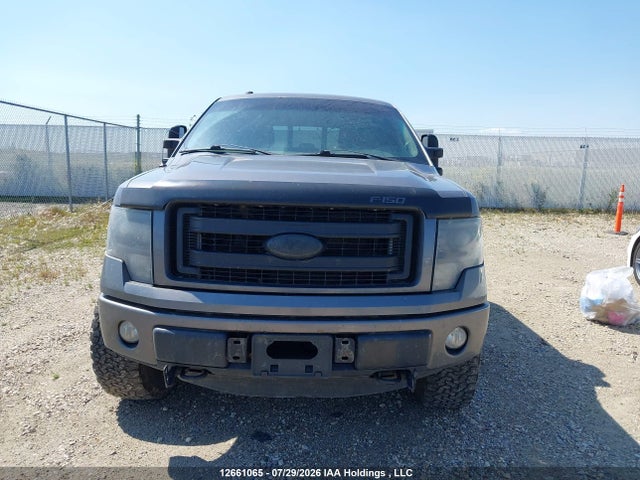 Продажа на аукционе авто 2013 Ford F150 Supercrew, vin: 1FTFW1EF6DKG36699, номер лота: 12661065