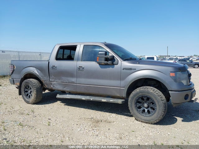 Продажа на аукционе авто 2013 Ford F150 Supercrew, vin: 1FTFW1EF6DKG36699, номер лота: 12661065