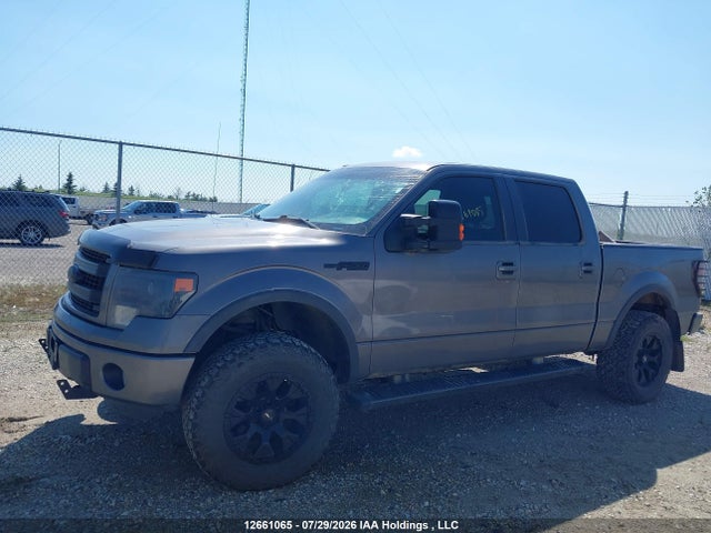 Продажа на аукционе авто 2013 Ford F150 Supercrew, vin: 1FTFW1EF6DKG36699, номер лота: 12661065