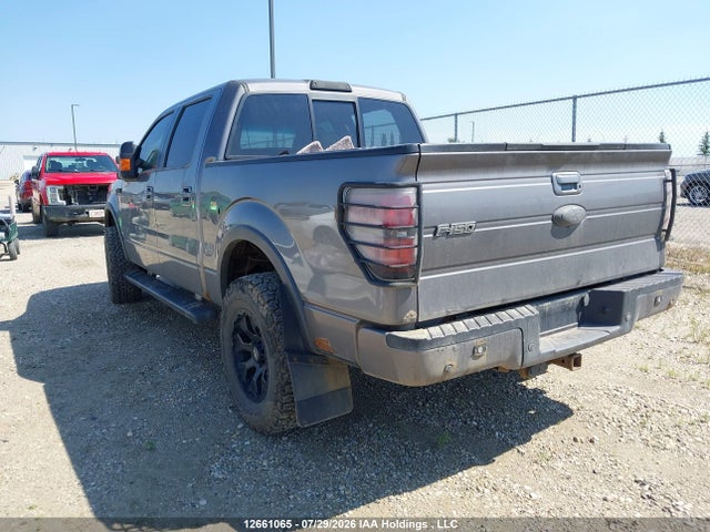 Продажа на аукционе авто 2013 Ford F150 Supercrew, vin: 1FTFW1EF6DKG36699, номер лота: 12661065