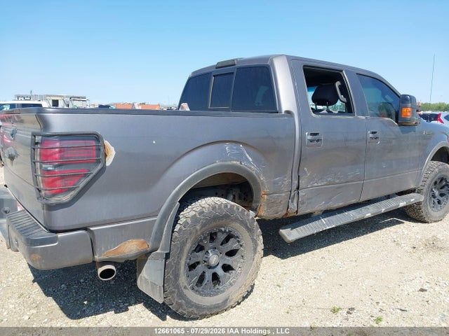 Продажа на аукционе авто 2013 Ford F150 Supercrew, vin: 1FTFW1EF6DKG36699, номер лота: 12661065