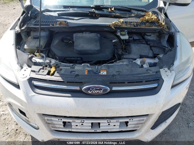 Продаж на аукціоні авто 2014 Ford Escape Se, vin: 1FMCU0GX1EUE16624, номер лоту: 12661099