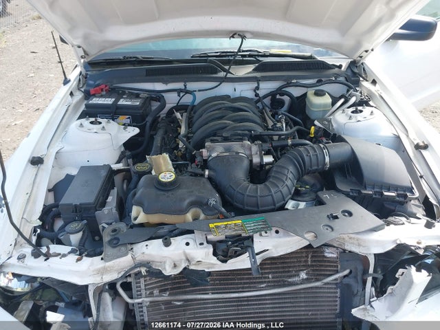 Продаж на аукціоні авто 2006 Ford Mustang Gt, vin: 1ZVFT85H865233728, номер лоту: 12661174