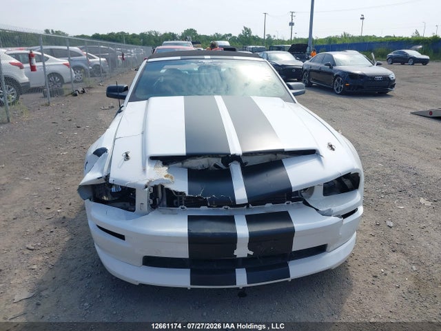 Продаж на аукціоні авто 2006 Ford Mustang Gt, vin: 1ZVFT85H865233728, номер лоту: 12661174